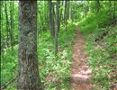Roundtop Trail